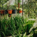 Tips for Creating a Sustainable Home Garden Year-Round