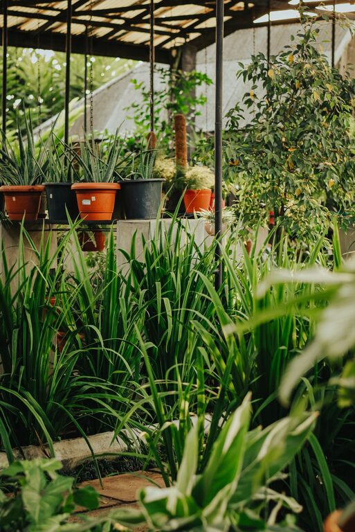 Tips for Creating a Sustainable Home Garden Year-Round